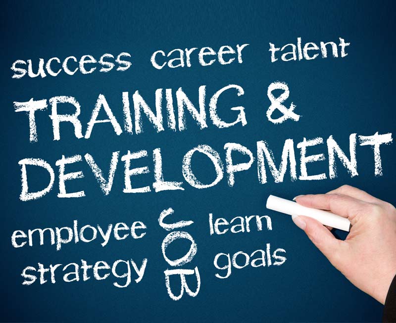 Training & Development 